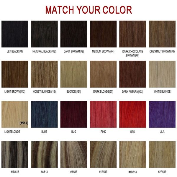 Colorguide
